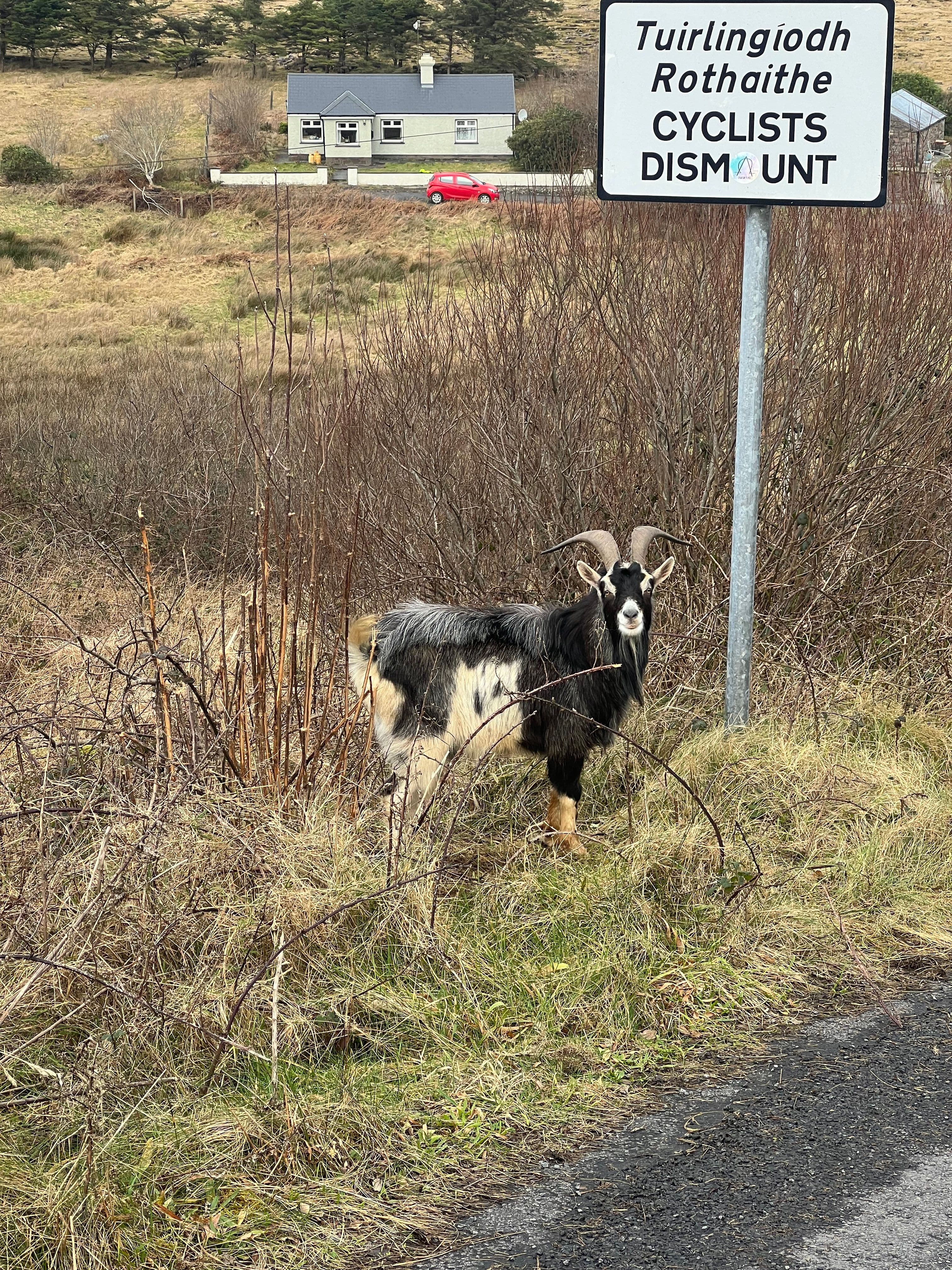 Achill Greenway